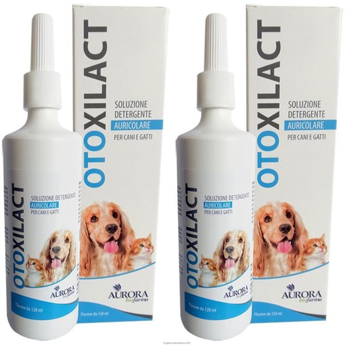 Cerca Offerte di otoxilact detergente auricolare 2x1 st e acquista online