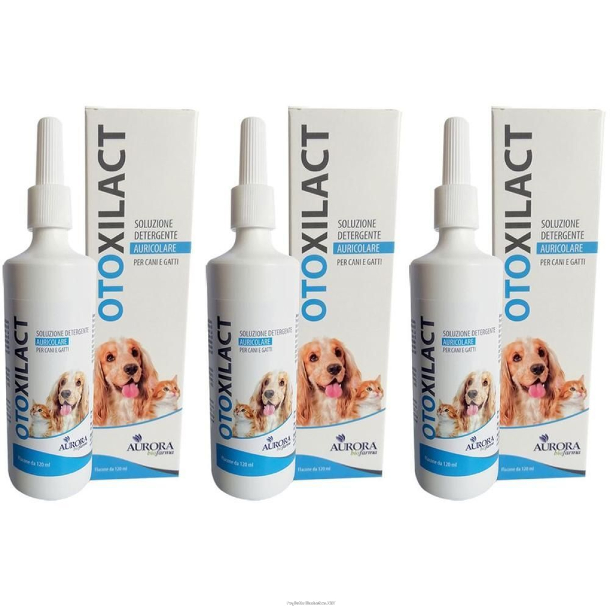 Cerca Offerte di otoxilact detergente auricolare 3x1 st e acquista online