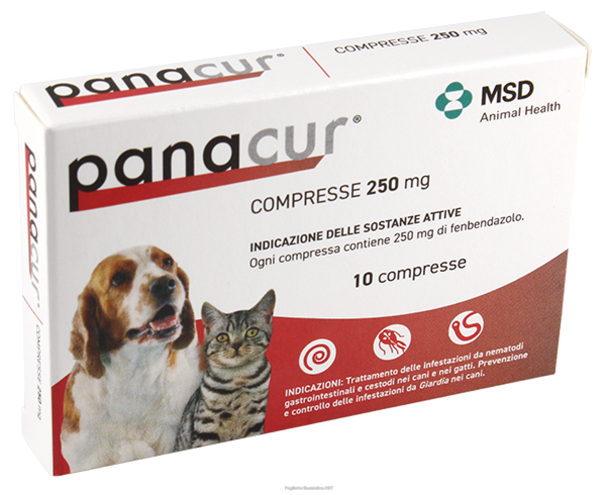 Cerca Offerte di panacur*10cpr 250mg cani gatti 105933016 e acquista online