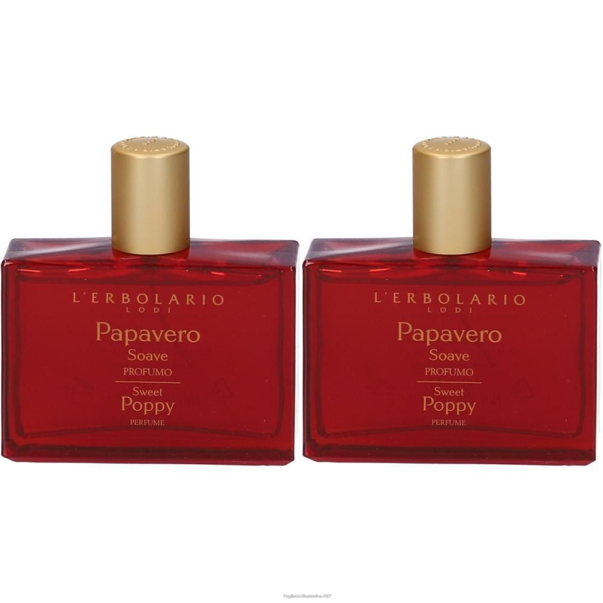 Cerca Offerte di Papavero Soave Profumo 50 ml 2x50 ml Soluzione e acquista online