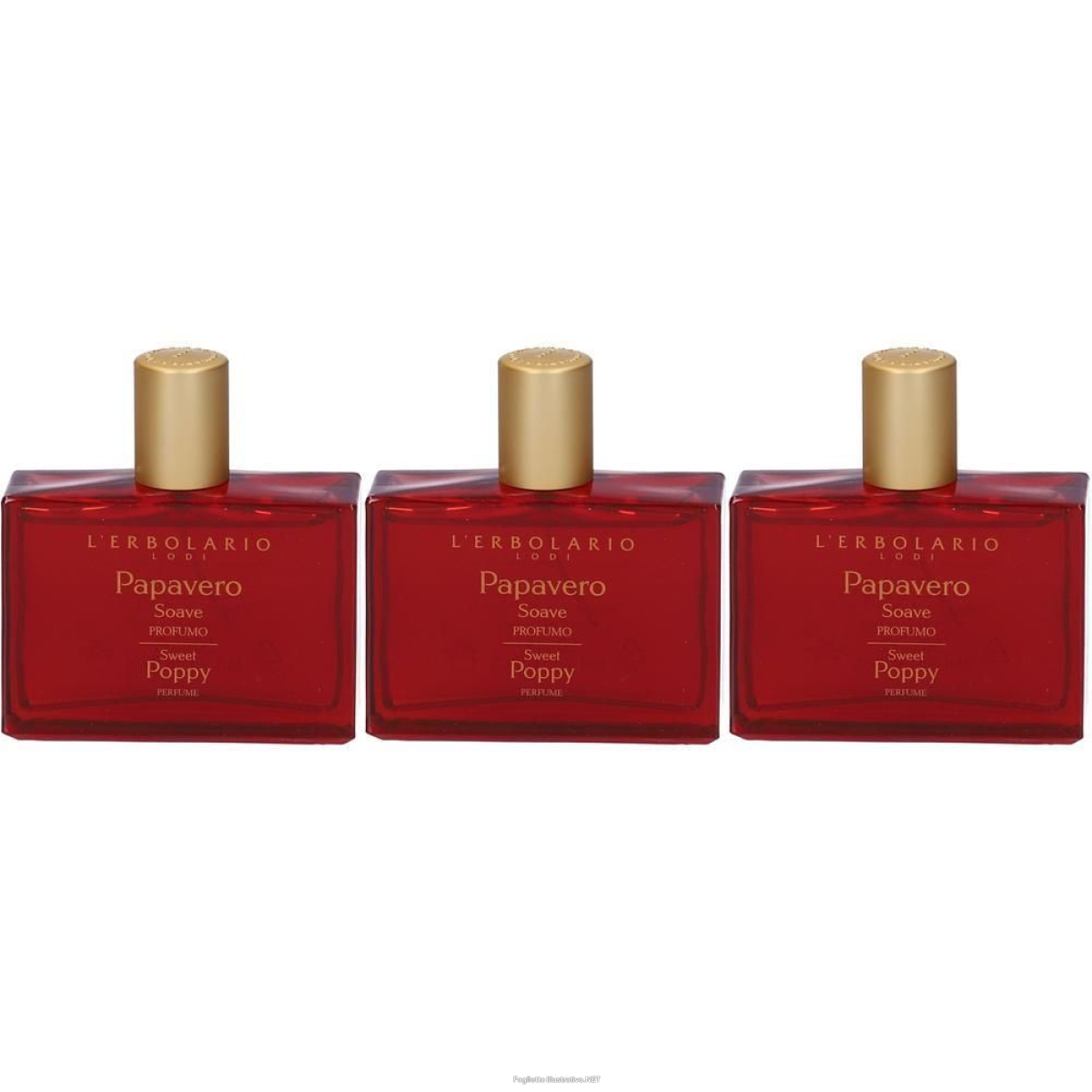 Cerca Offerte di Papavero Soave Profumo 50 ml 3x50 ml Soluzione e acquista online