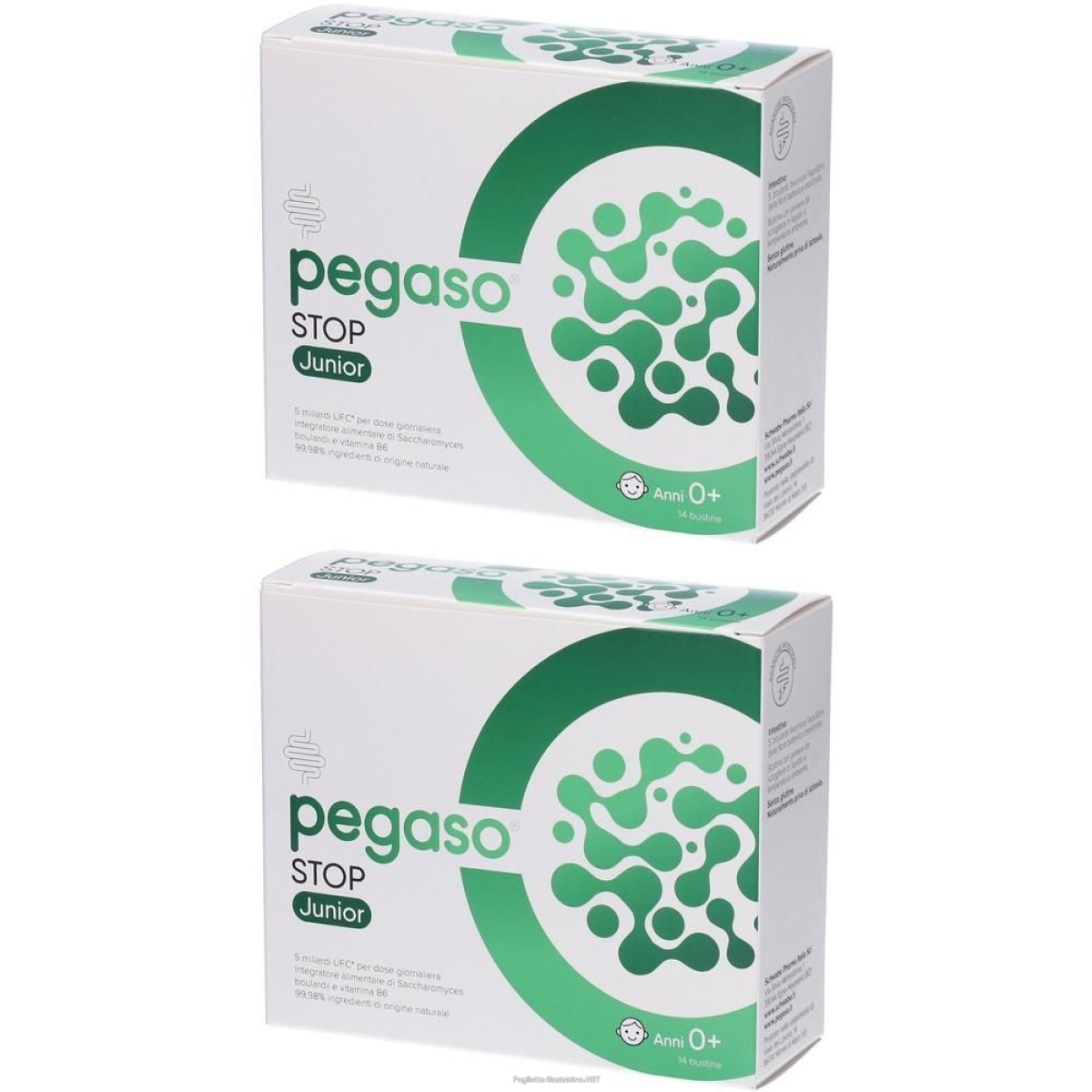 Cerca Offerte di pegaso axiboulardi junior bustine 2x42 g polvere per soluzione orale e acquista online