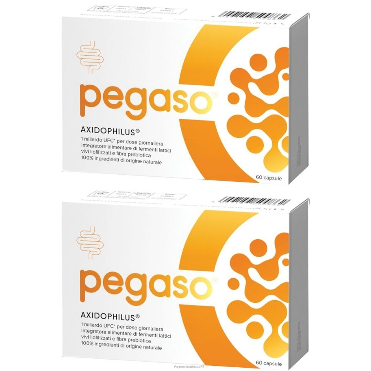 Cerca Offerte di pegaso axidophilus 60 capsule set da 2 2x8,1 g e acquista online