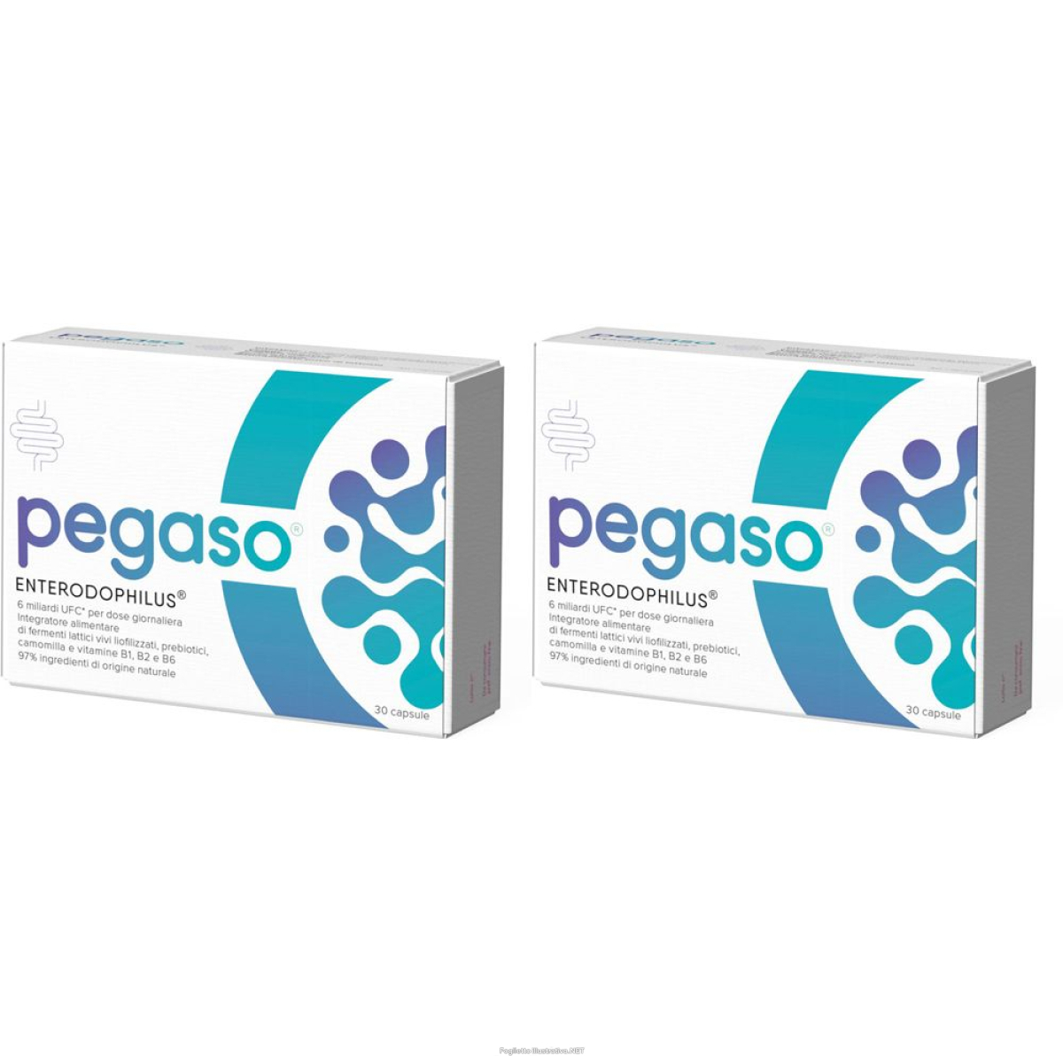 Cerca Offerte di pegaso enterodophilus 30 capsule set da 2 2x3 g e acquista online