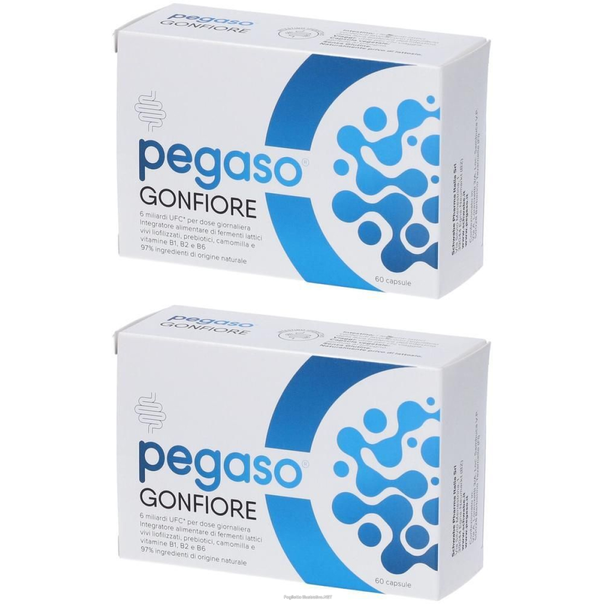 Cerca Offerte di pegaso gonfiore capsule 2x6 g e acquista online