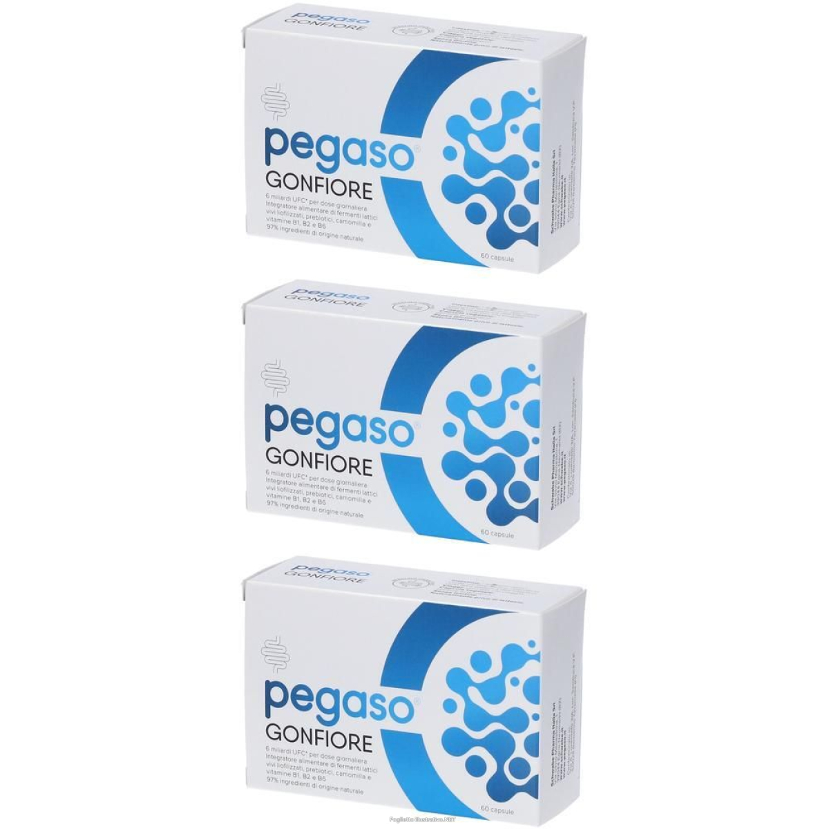 Cerca Offerte di pegaso gonfiore capsule 3x6 g e acquista online
