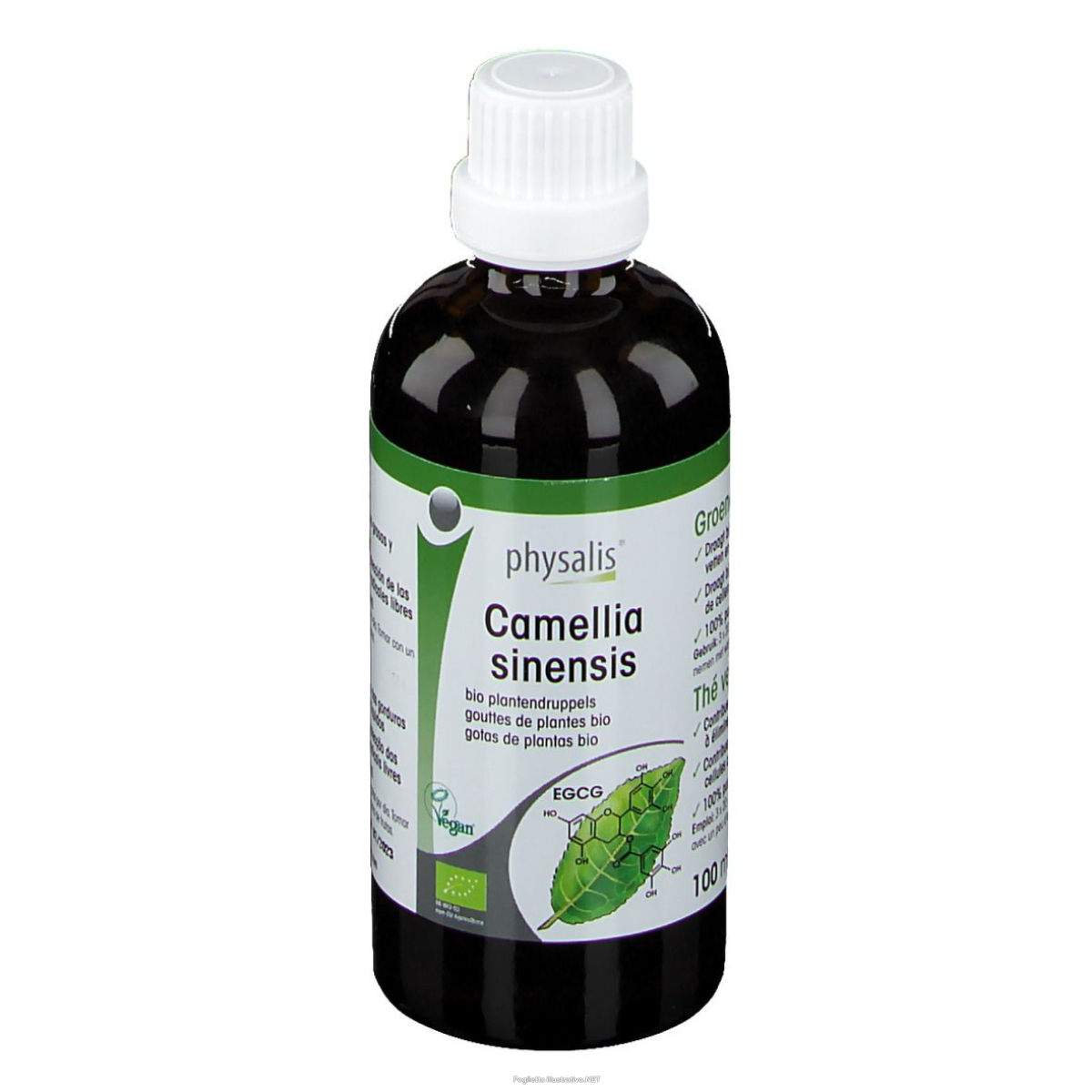 Cerca Offerte di physalis camellia sinensis bio 100 ml gocce e acquista online