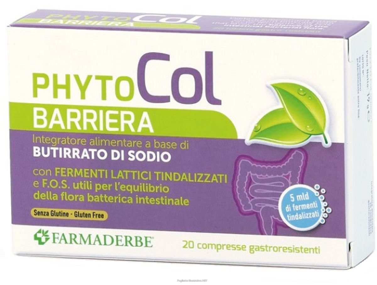 Cerca Offerte di phyto col barriera 20 compresse e acquista online