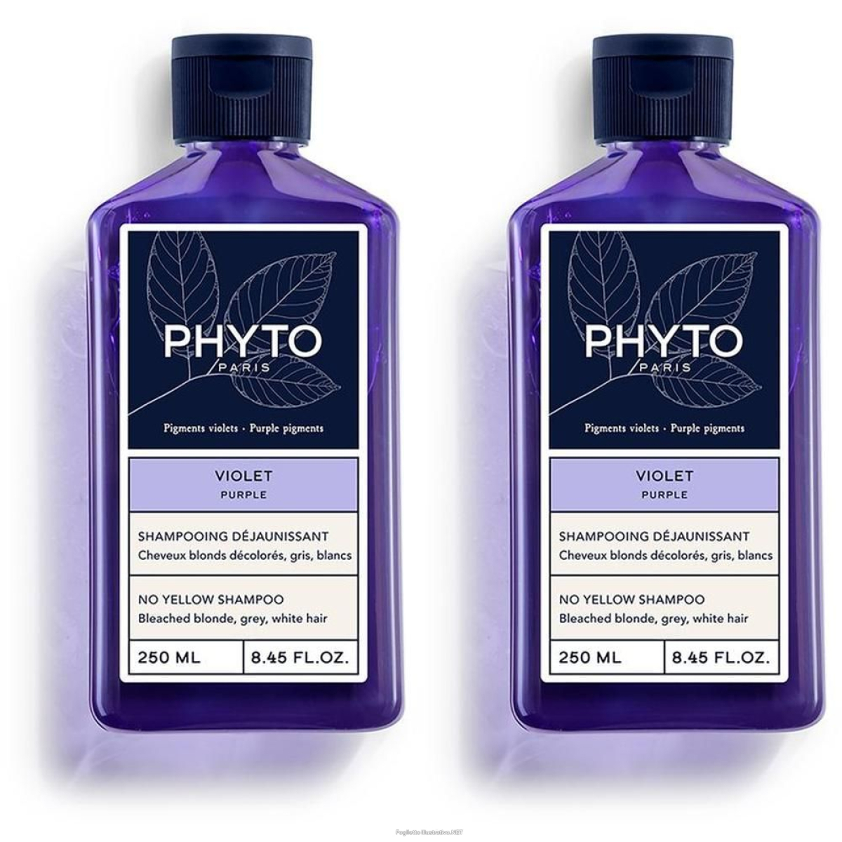 Cerca Offerte di phyto violet shampoo 2x250 ml e acquista online