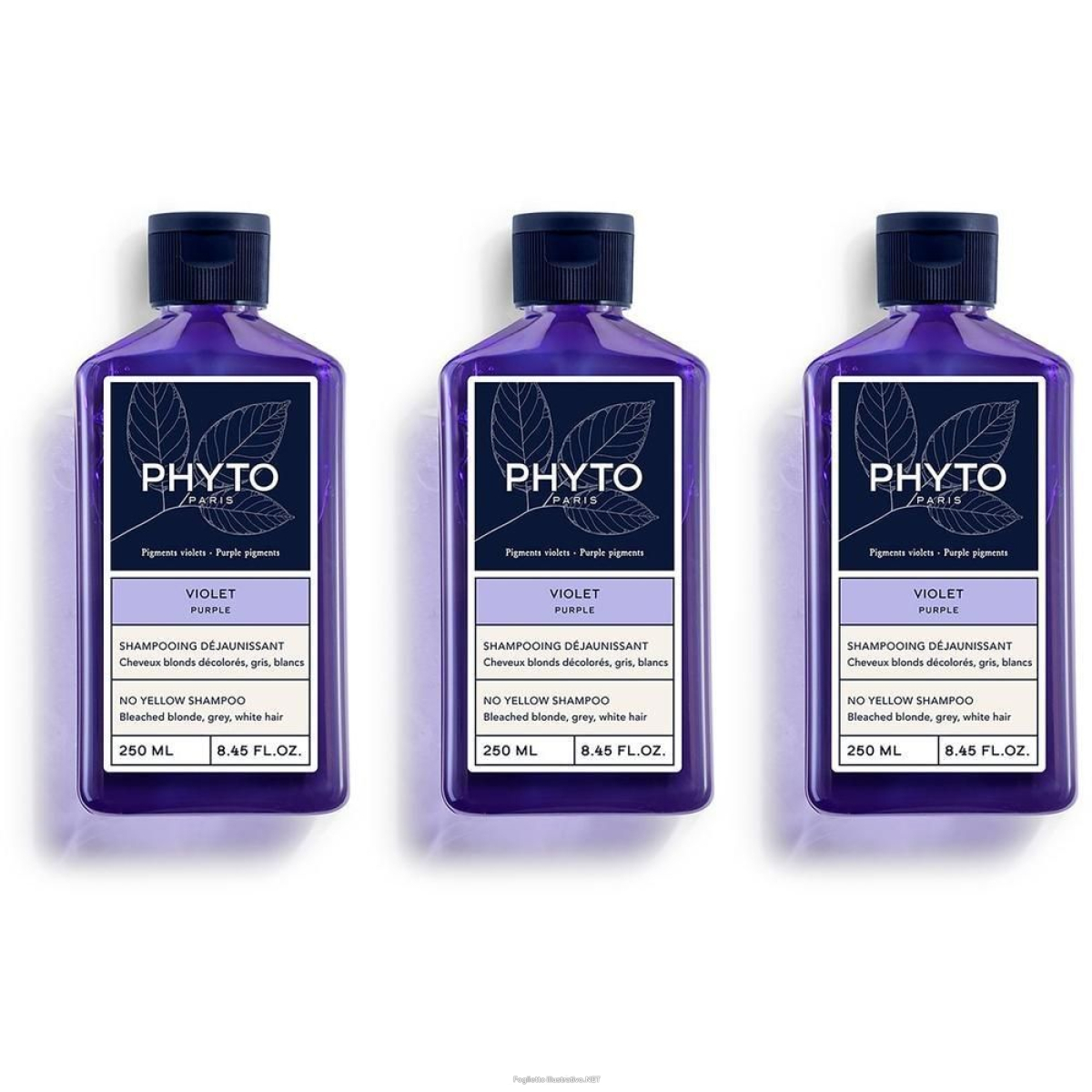 Cerca Offerte di phyto violet shampoo 3x250 ml e acquista online