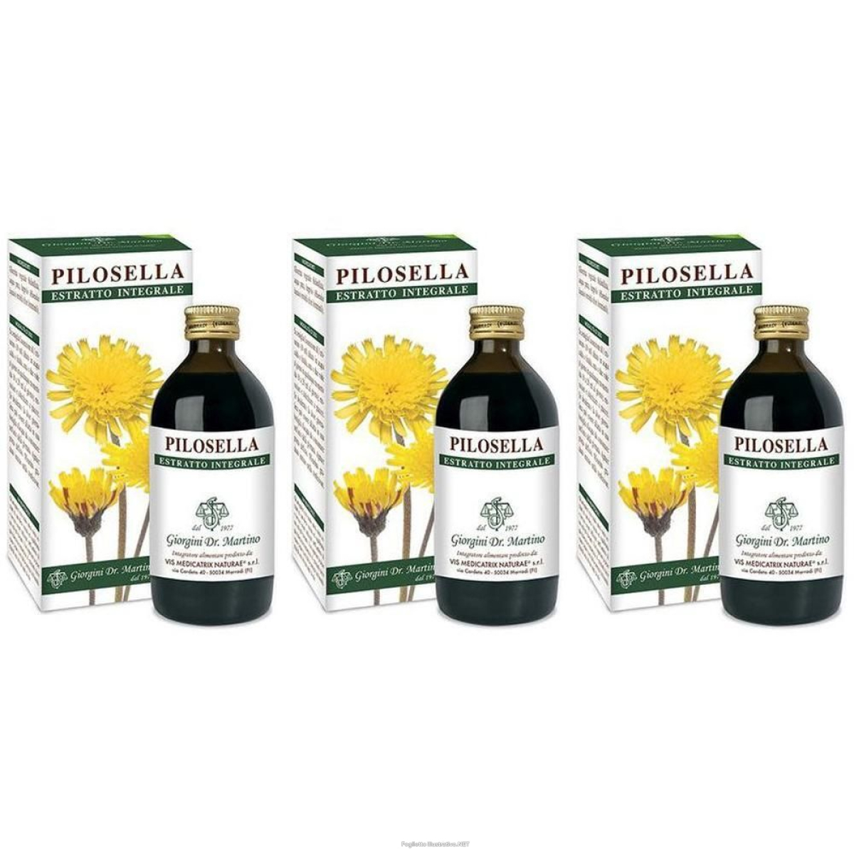 Cerca Offerte di Pilosella Estratto Integrale 200 ml 3x200 ml Soluzione Orale e acquista online