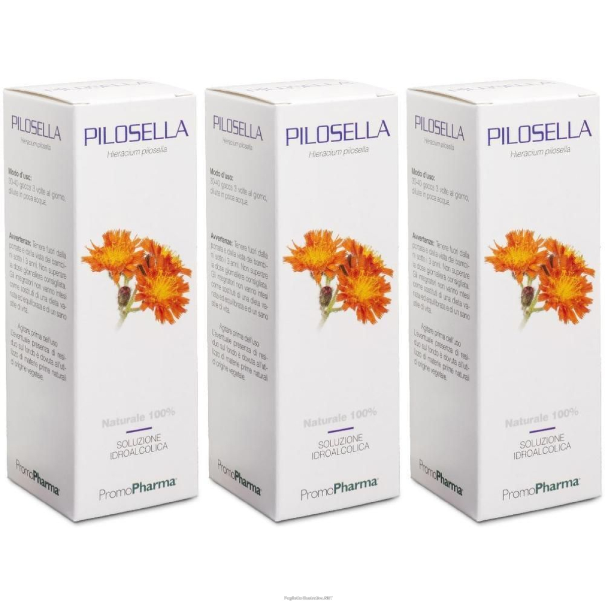 Cerca Offerte di pilosella soluzione idroalcolica 3x100 ml e acquista online