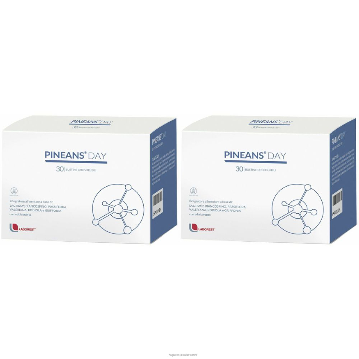 Cerca Offerte di pineans® day set da 2 2x54 g polvere per soluzione orale e acquista online