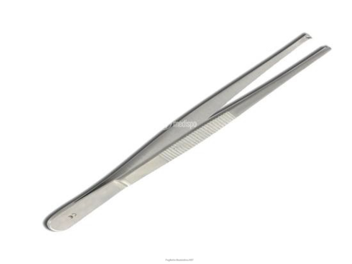 Cerca Offerte di pinza chirurgica retta 1x2 denti in acciaio 14 cm e acquista online