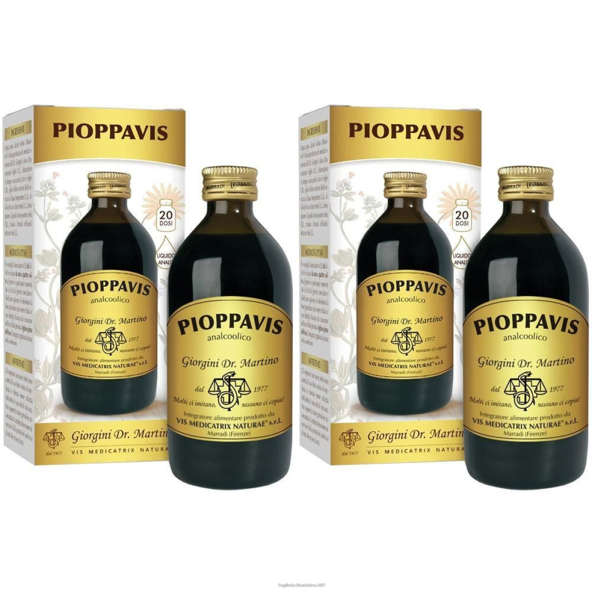 Cerca Offerte di pioppavis liquido analcoolico 200 ml 2x200 ml soluzione orale e acquista online