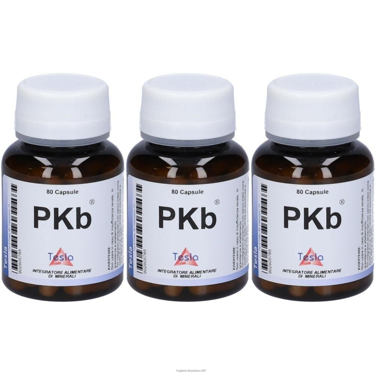 Cerca Offerte di pkb 80cps 71,7g 3x80 pz capsule e acquista online