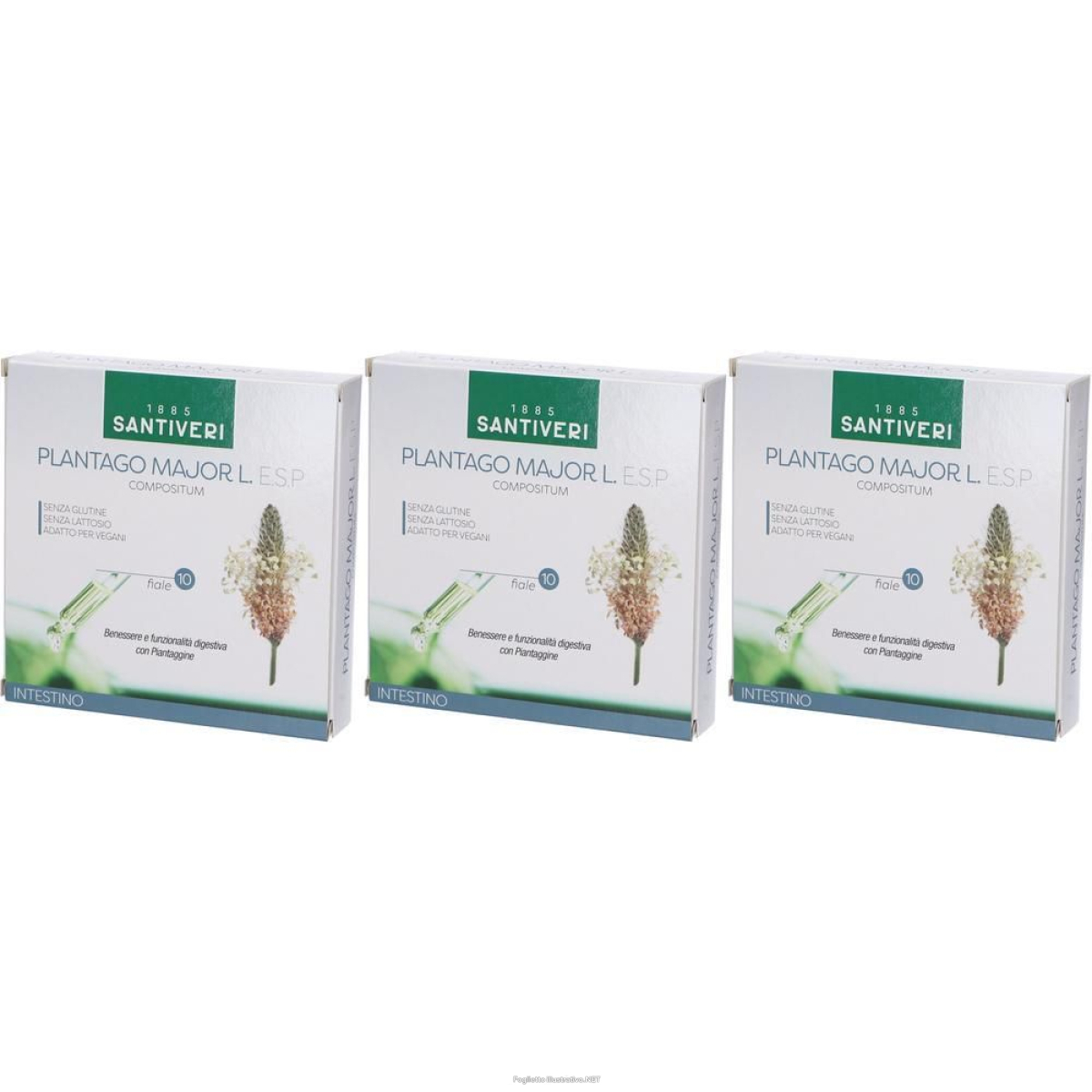 Cerca Offerte di plantago major l esp 10 fiale da ml 3x100 ml soluzione orale e acquista online