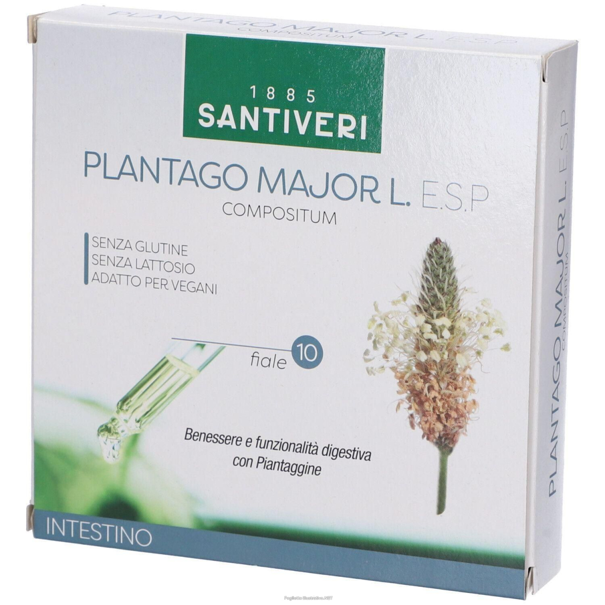 Cerca Offerte di plantago major l esp 10 fiale da ml 4x100 ml soluzione orale e acquista online