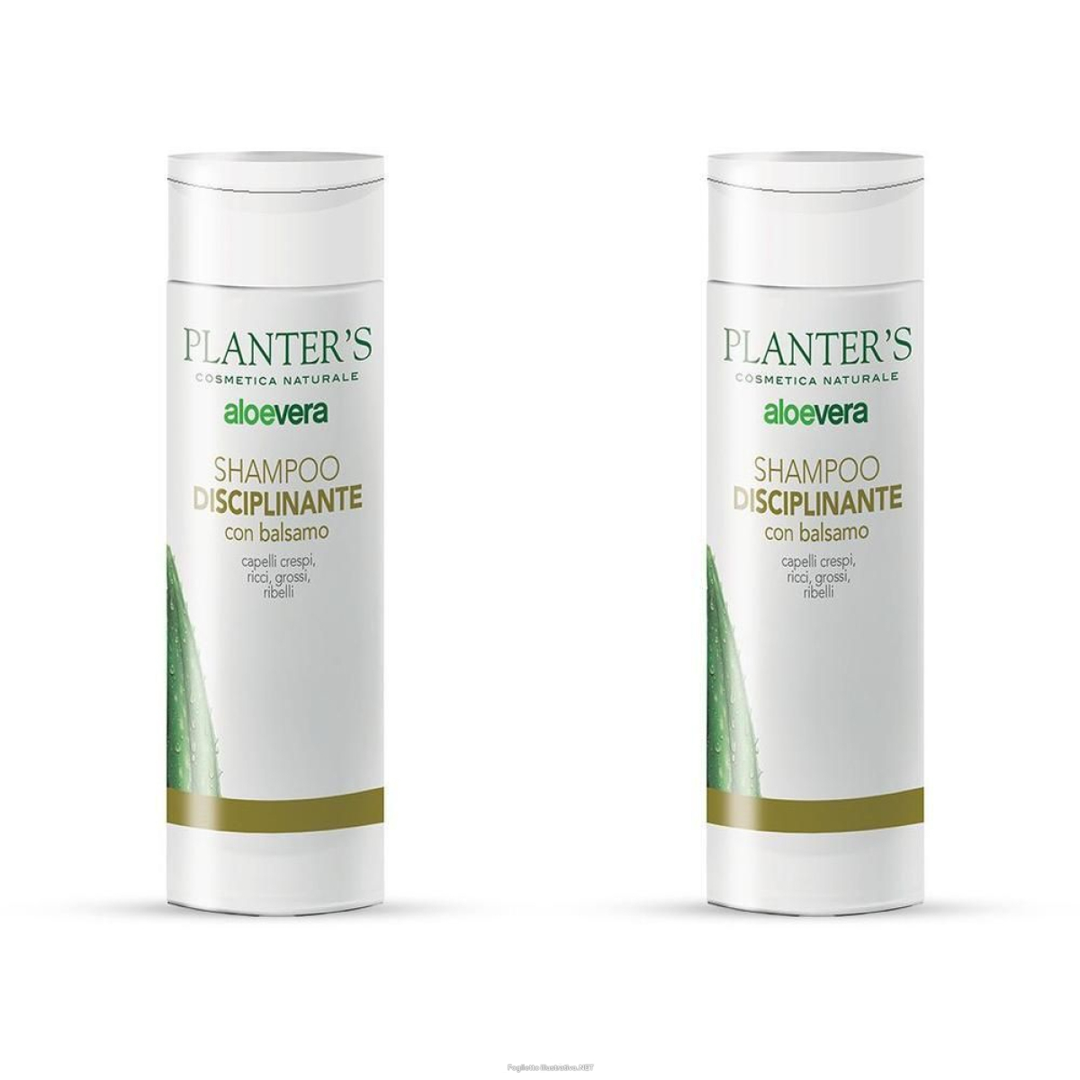 Cerca Offerte di Planter's Shampoo Disciplinante con Balsamo 200 ml e acquista online