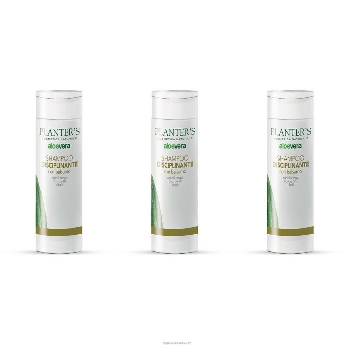 Cerca Offerte di Planter's Shampoo Disciplinante con Balsamo 200 ml e acquista online