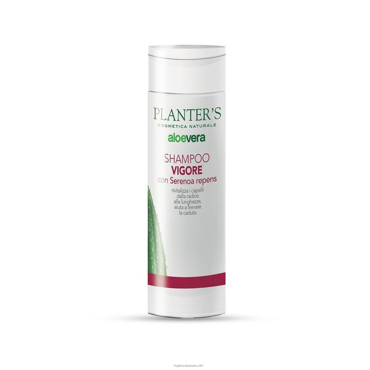 Cerca Offerte di planter's shampoo vigore 5x200 ml e acquista online