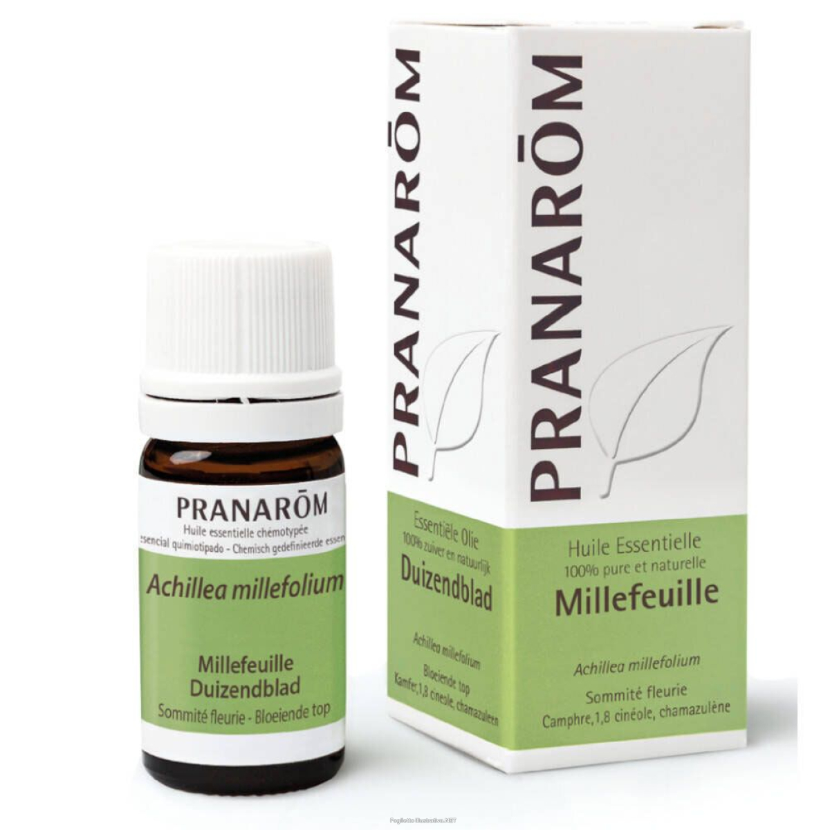 Cerca Offerte di pranarÔm achillea millefolium 5 ml olio essenziale e acquista online