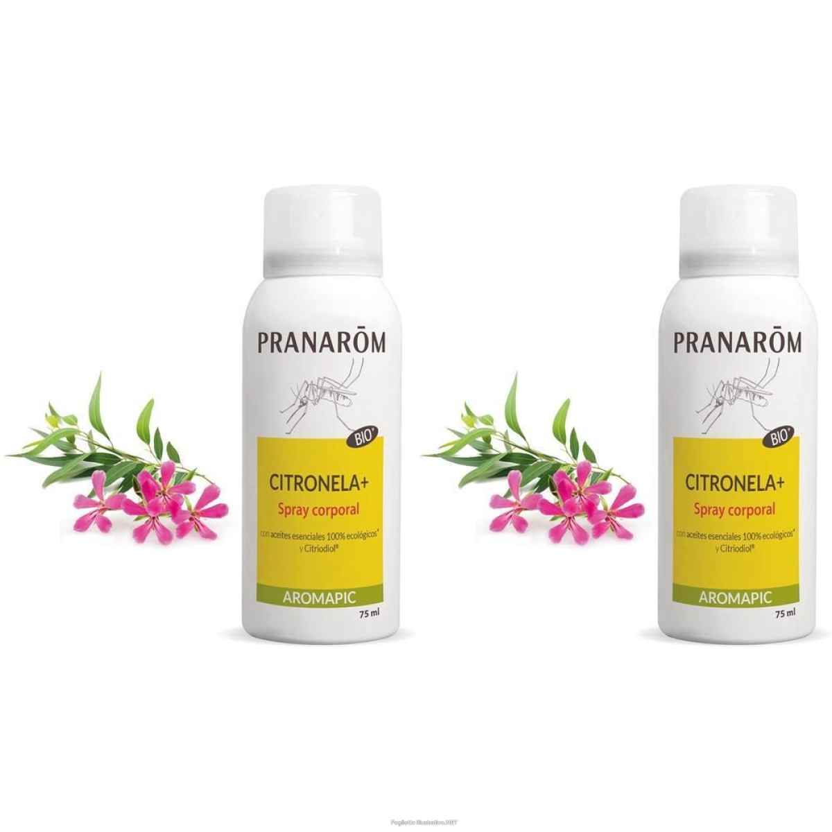 Cerca Offerte di pranarôm aromapic spray corpo anti-zanzare bio 2x75 ml e acquista online