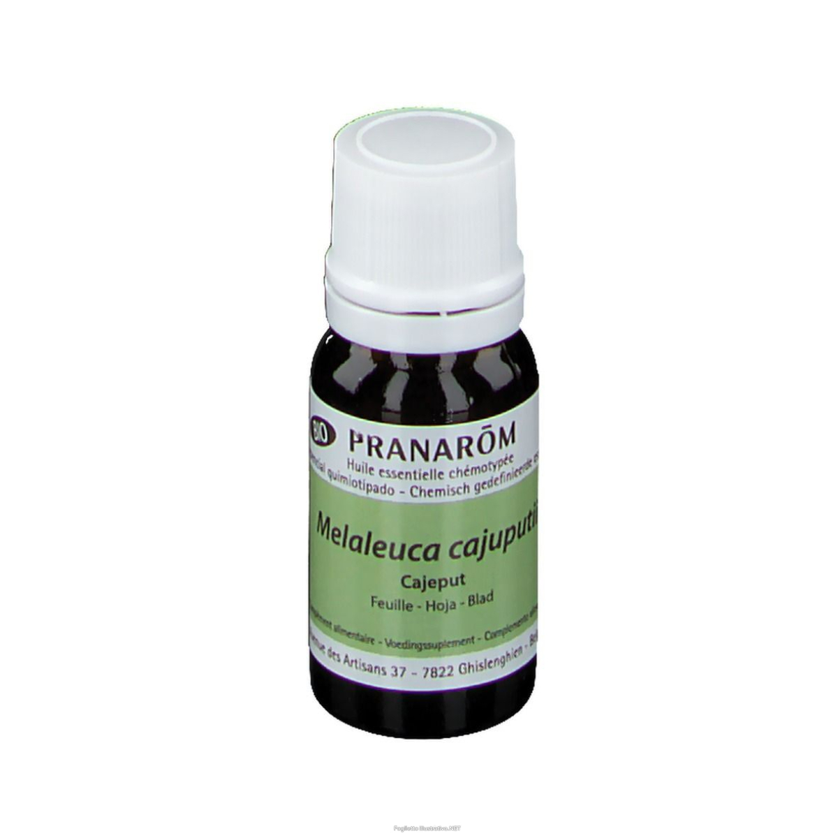 Cerca Offerte di pranarom cajeput essential oil 10 ml olio essenziale e acquista online