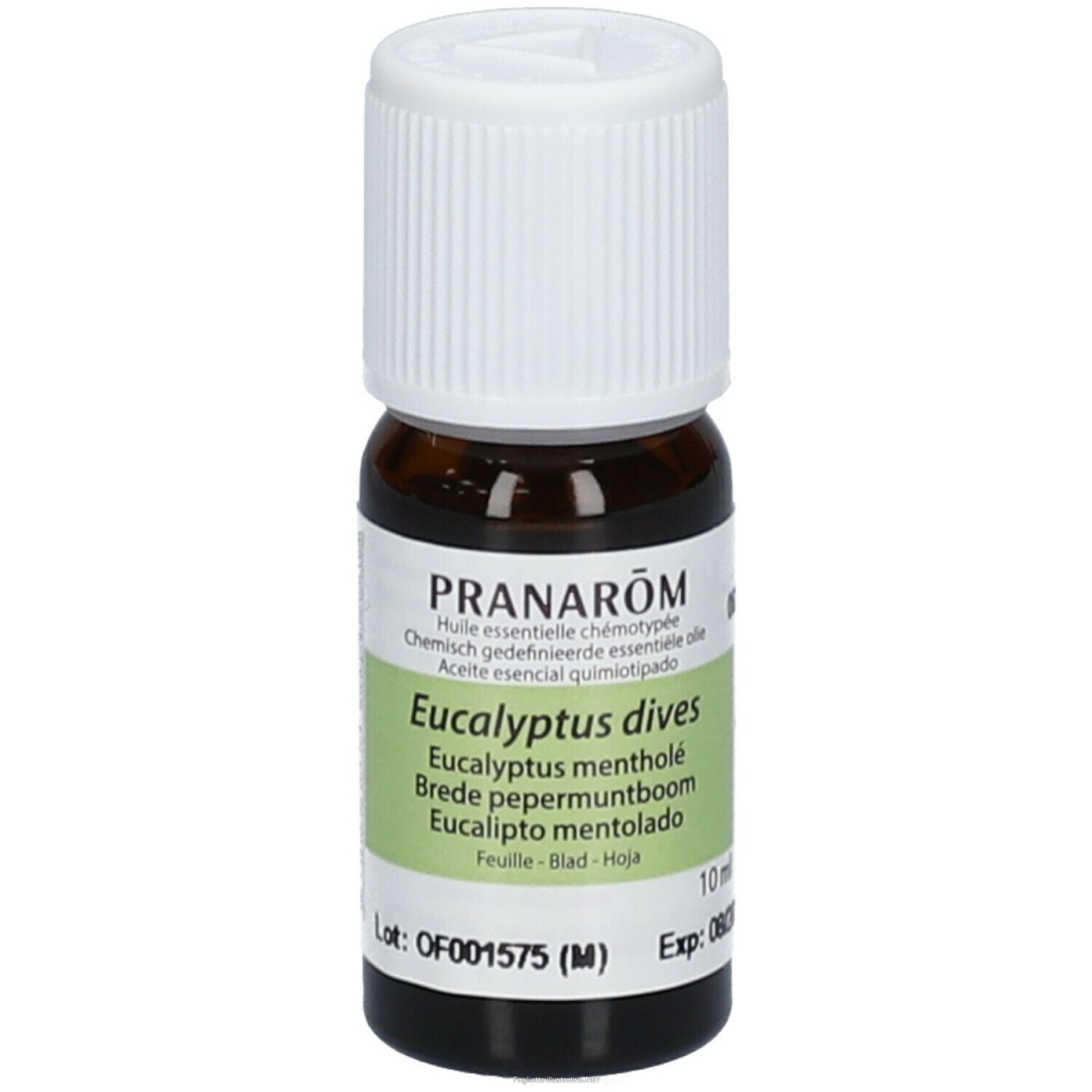 Cerca Offerte di pranarom eucalyptus-mint essential oil 10 ml olio essenziale e acquista online