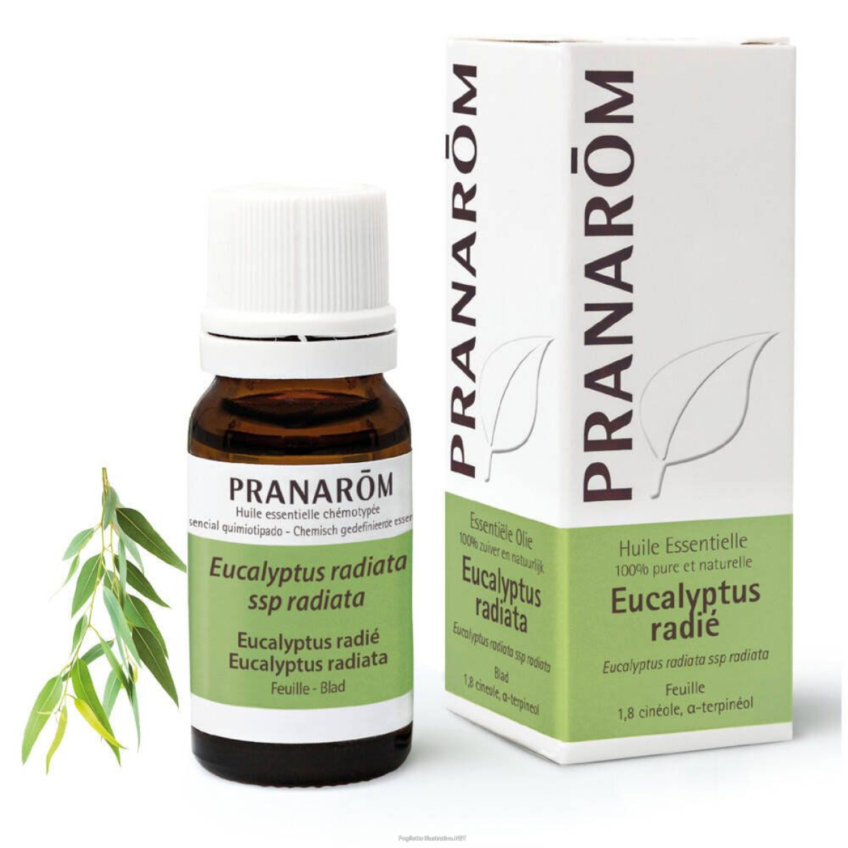 Cerca Offerte di pranarÔm eucalyptus radiata 10 ml olio essenziale e acquista online