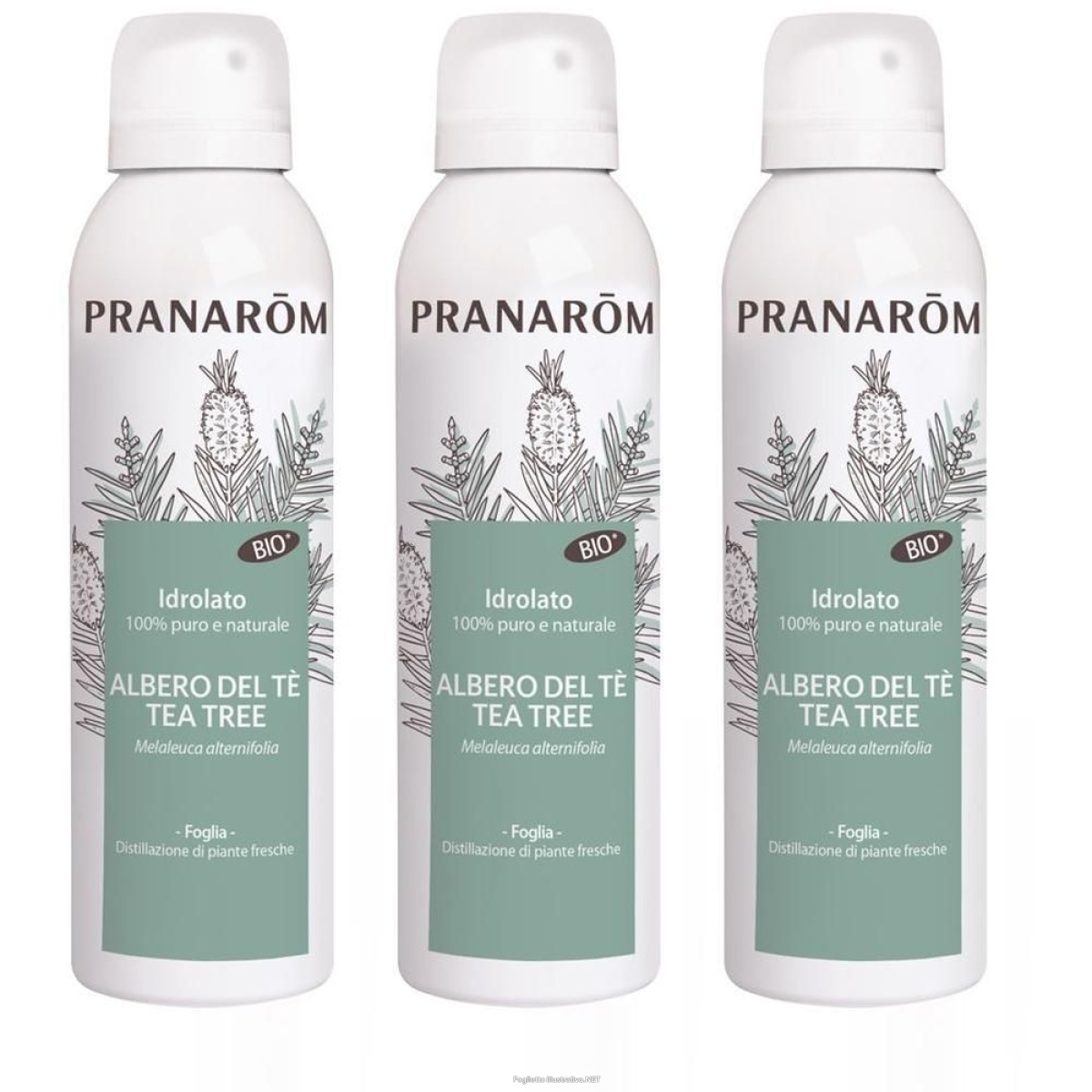 Cerca Offerte di pranarom idrolato albero del té tea tree spray 3x150 ml e acquista online