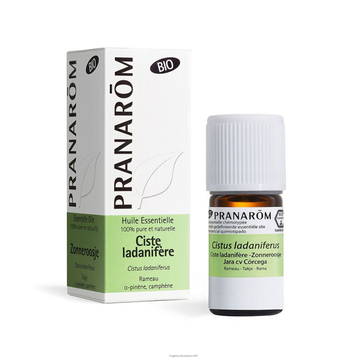 Cerca Offerte di pranarÔm labdano bio 5 ml olio essenziale e acquista online