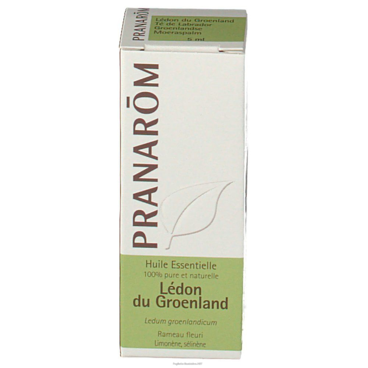 Cerca Offerte di pranarom ledon greenland essential oil 5 ml olio essenziale e acquista online