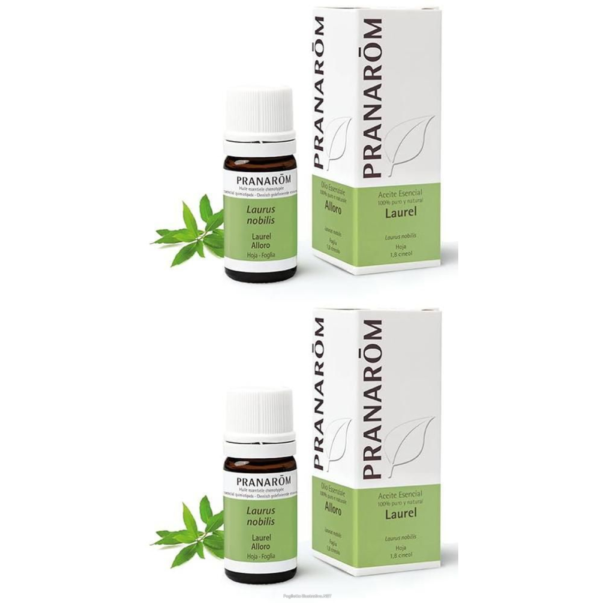 Cerca Offerte di pranarom olio essenziale alloro foglia 2x5 ml soluzione orale e acquista online