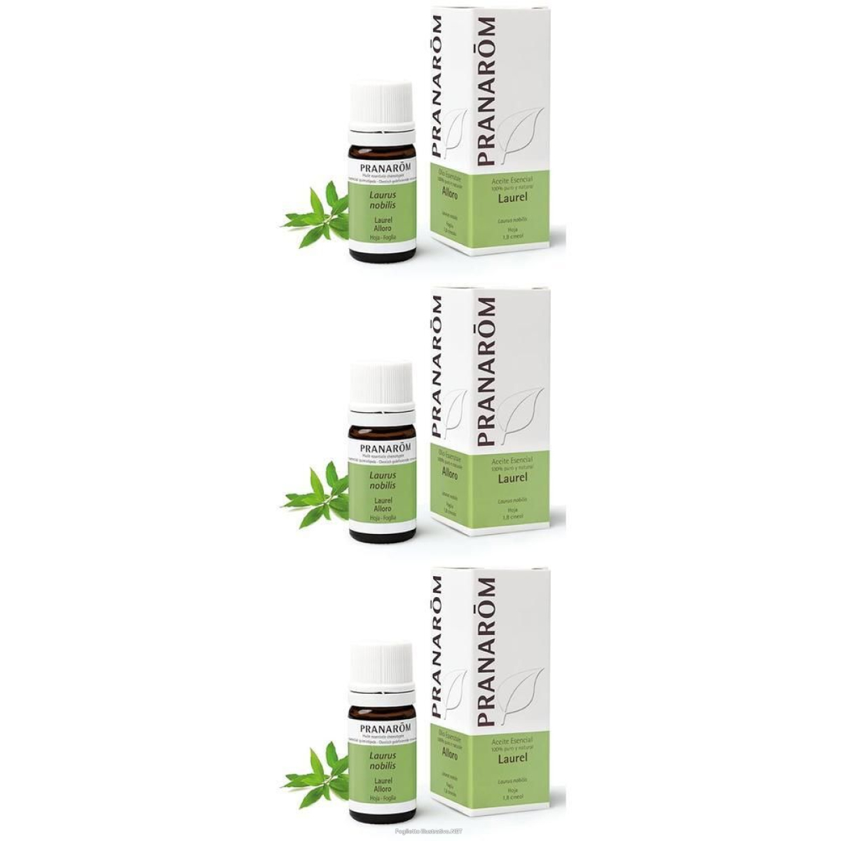 Cerca Offerte di pranarom olio essenziale alloro foglia 3x5 ml soluzione orale e acquista online