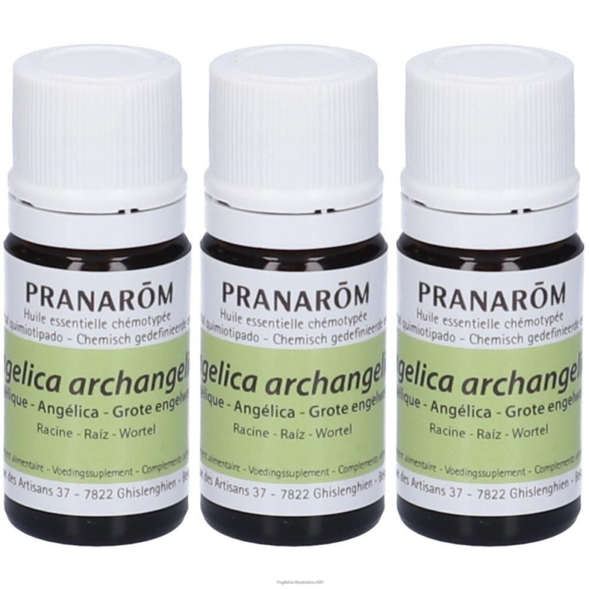 Cerca Offerte di pranarom olio essenziale angelica 3x5 ml e acquista online