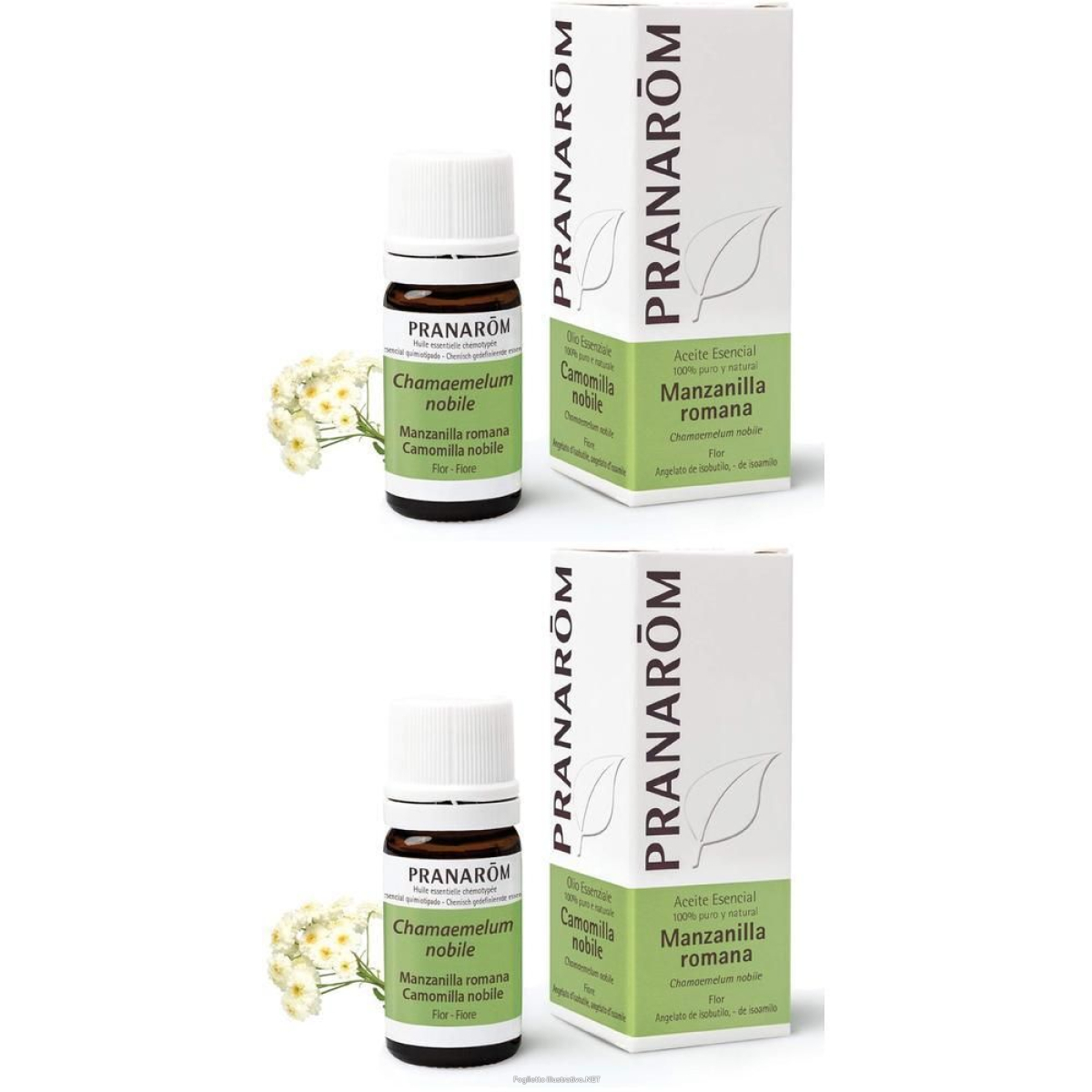 Cerca Offerte di pranarom olio essenziale camomilla romana fiore 2x5 ml soluzione orale e acquista online