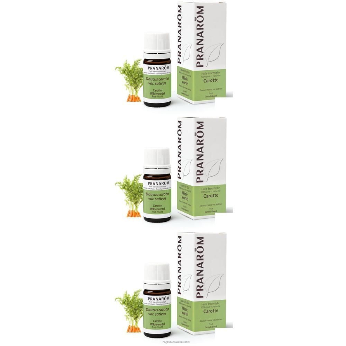 Cerca Offerte di pranarom olio essenziale carota frutto 3x5 ml soluzione orale e acquista online