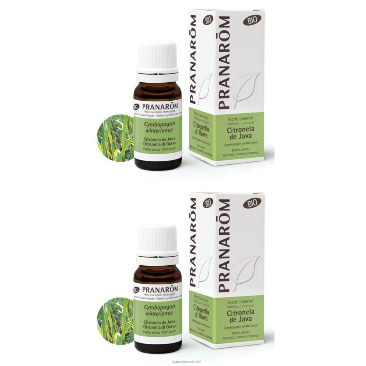 Cerca Offerte di Pranarom Olio Essenziale Citronella di Giava Parti Aeree 2x10 ml Soluzione e acquista online