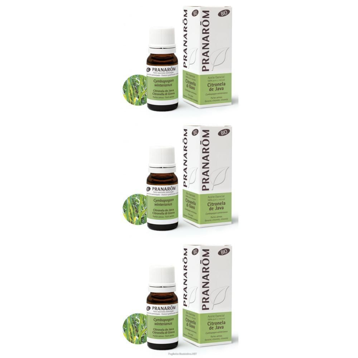 Cerca Offerte di Pranarom Olio Essenziale Citronella di Giava Parti Aeree 3x10 ml Soluzione e acquista online