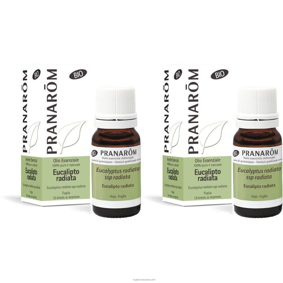 Cerca Offerte di pranarom olio essenziale eucalipto radiata foglia 2x10 ml soluzione or e acquista online