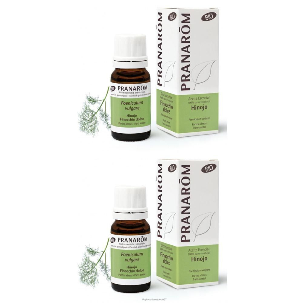 Cerca Offerte di pranarom olio essenziale finocchio dolce parti aeree 2x10 ml soluzione e acquista online