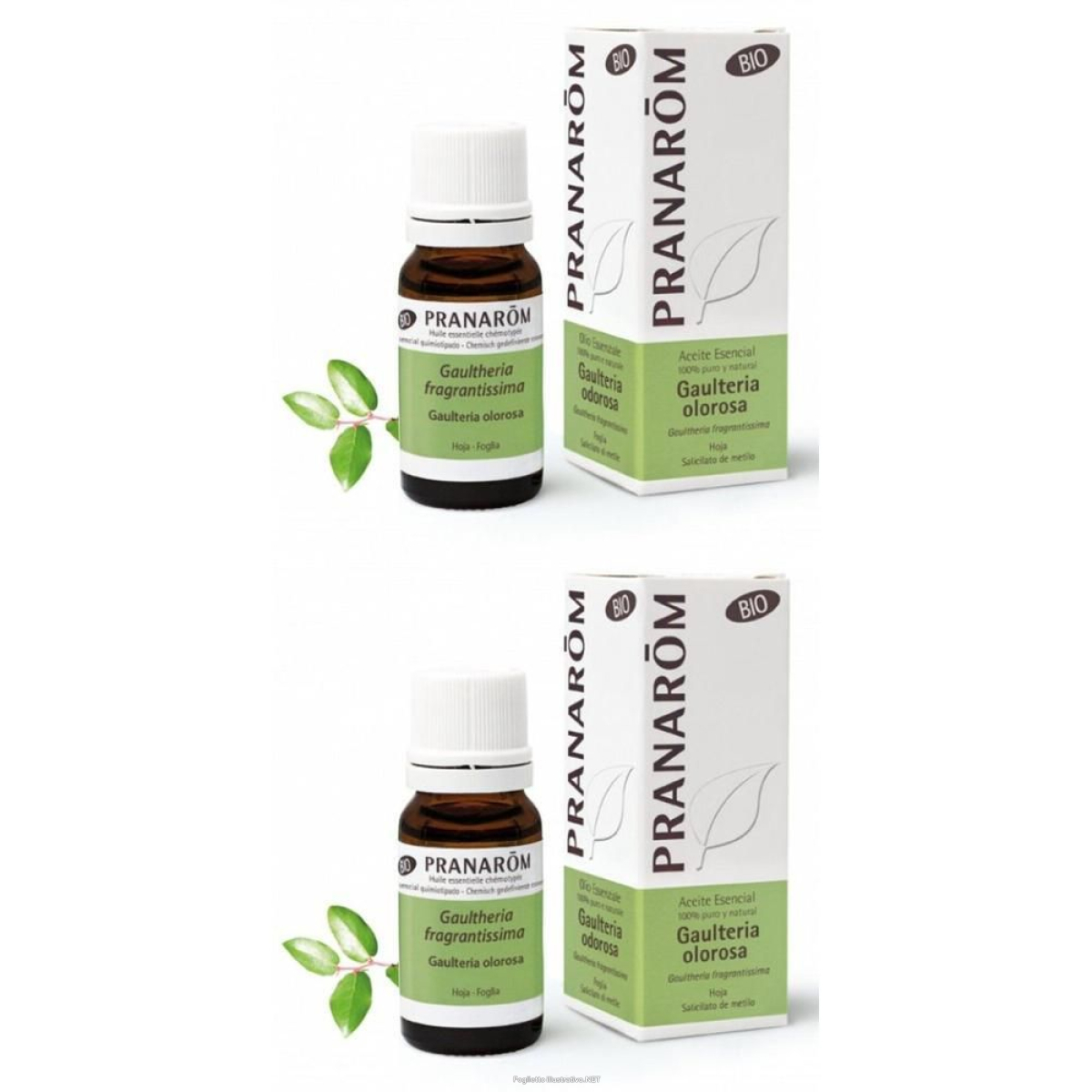 Cerca Offerte di pranarom olio essenziale gaulteria odorosa foglia 2x10 ml e acquista online