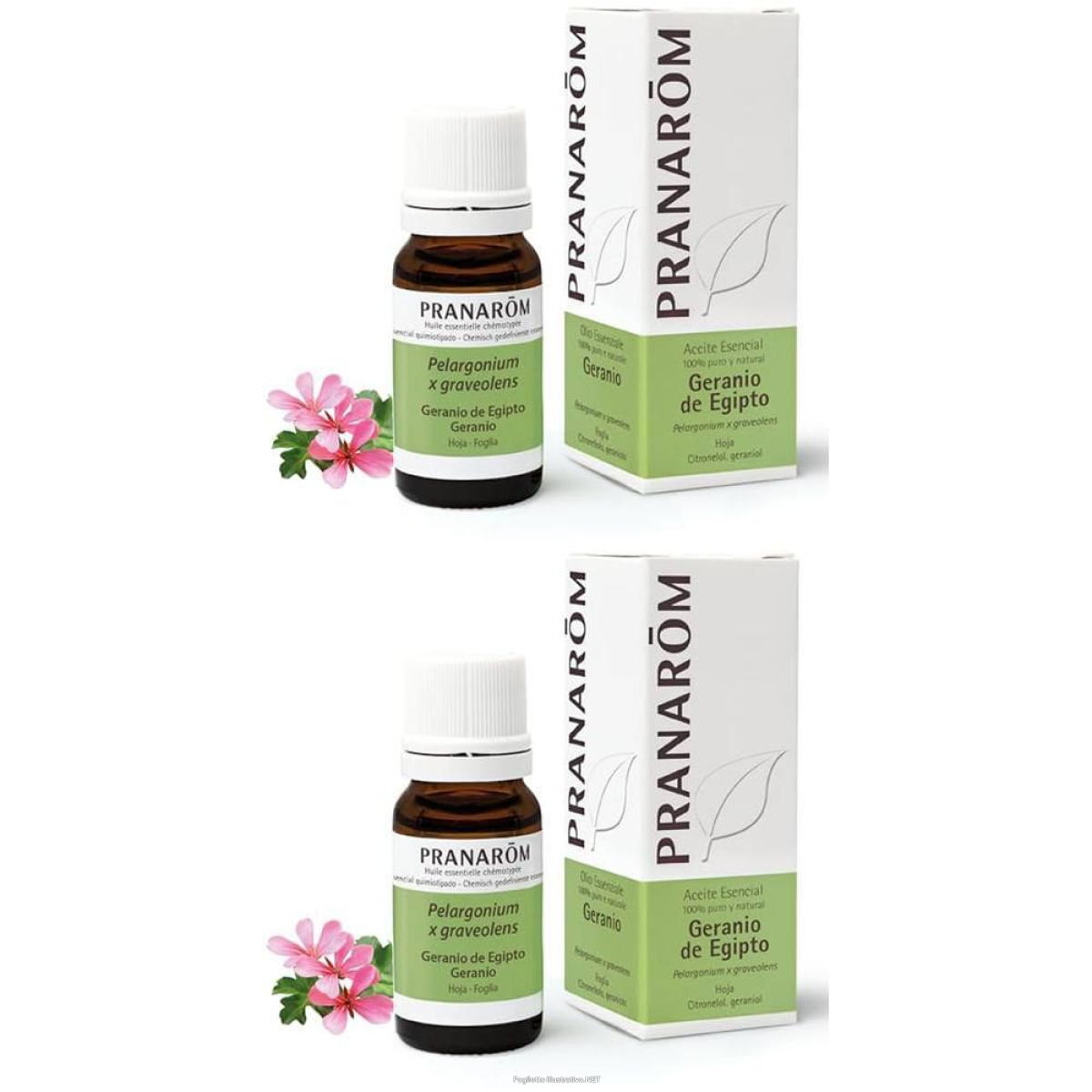 Cerca Offerte di pranarom olio essenziale geranio foglia 2x10 ml soluzione orale e acquista online