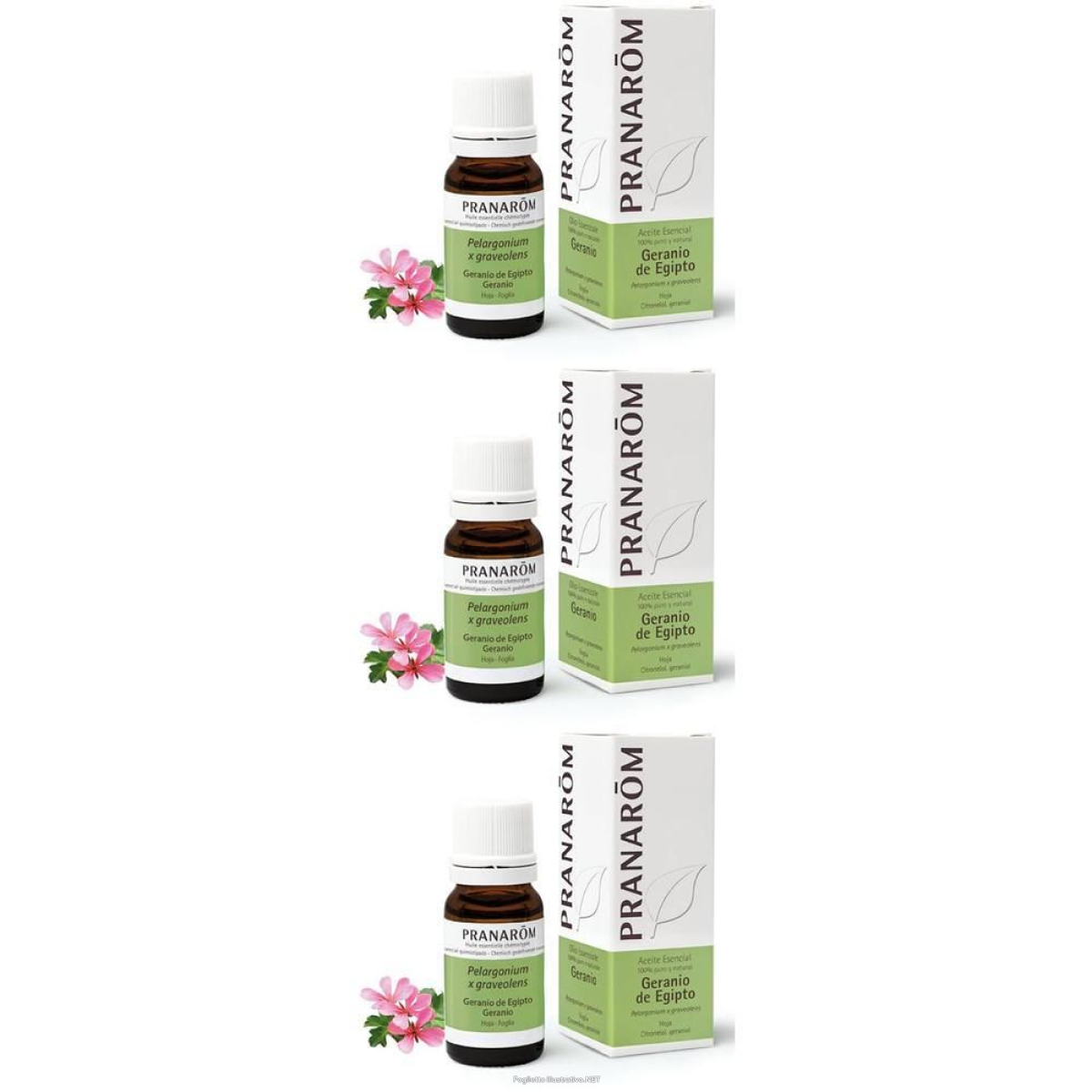 Cerca Offerte di pranarom olio essenziale geranio foglia 3x10 ml soluzione orale e acquista online