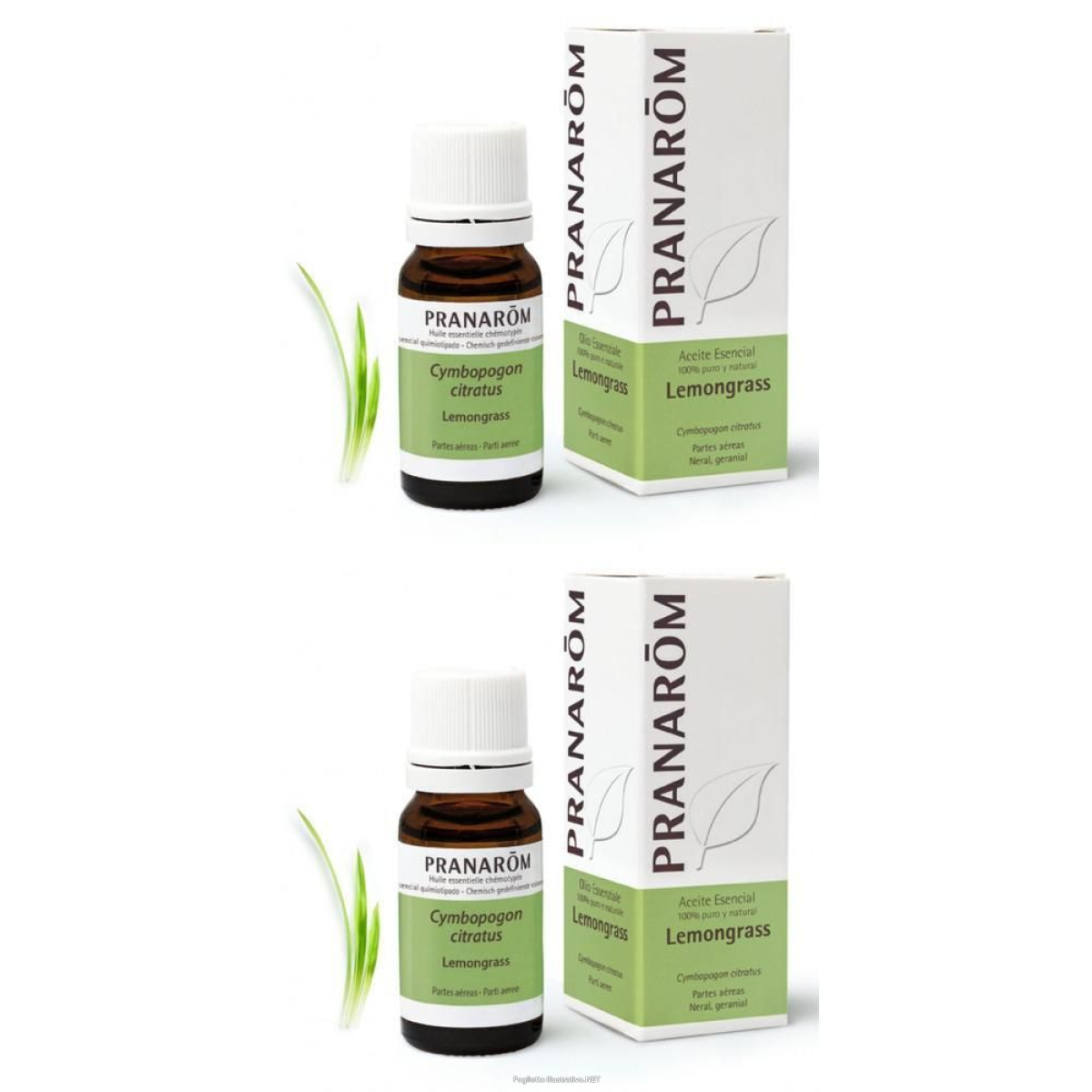 Cerca Offerte di pranarom olio essenziale lemongrass parti aeree 2x10 ml soluzione oral e acquista online