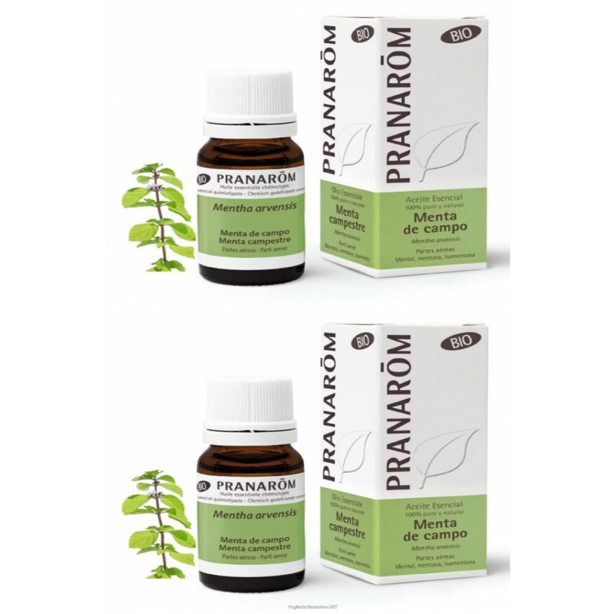 Cerca Offerte di pranarom olio essenziale menta campestre parti aeree 2x10 ml soluzione e acquista online
