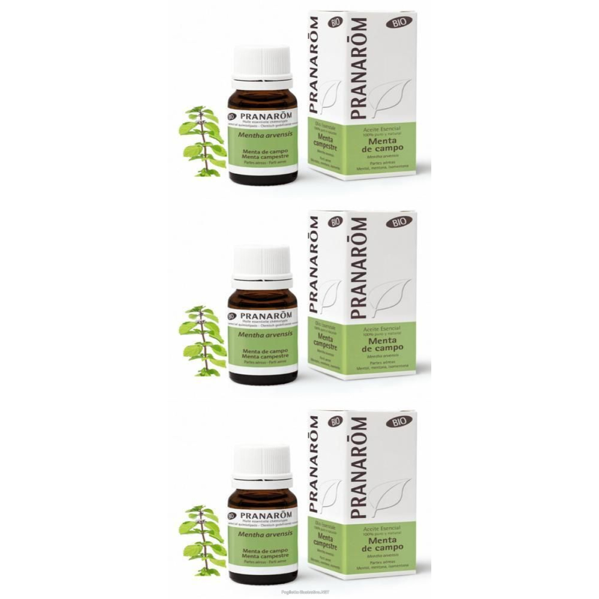 Cerca Offerte di pranarom olio essenziale menta campestre parti aeree 3x10 ml soluzione e acquista online
