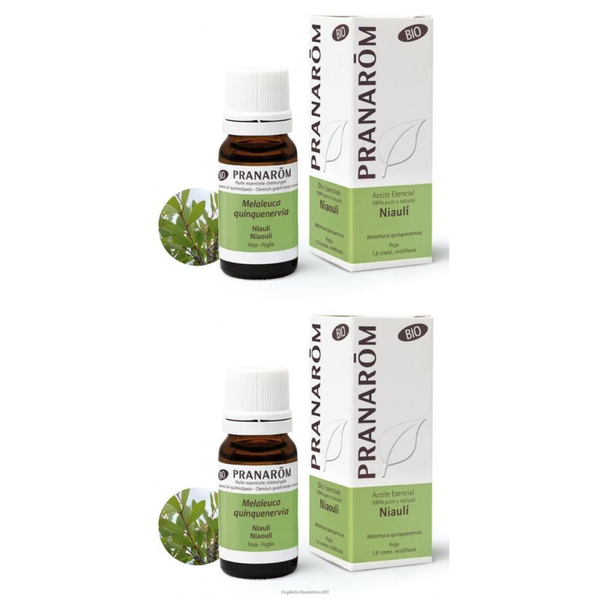 Cerca Offerte di pranarom olio essenziale niaouli foglia 2x10 ml soluzione orale e acquista online