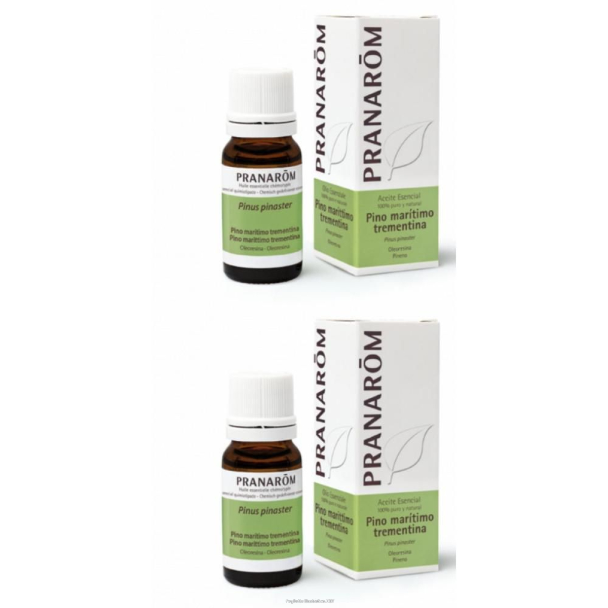 Cerca Offerte di pranarom olio essenziale pino marittimo oleoresina 2x10 ml soluzione o e acquista online
